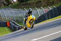 Oulton-Park-20th-March-2020;PJ-Motorsport-Photography-2020;anglesey;brands-hatch;cadwell-park;croft;donington-park;enduro-digital-images;event-digital-images;eventdigitalimages;mallory;no-limits;oulton-park;peter-wileman-photography;racing-digital-images;silverstone;snetterton;trackday-digital-images;trackday-photos;vmcc-banbury-run;welsh-2-day-enduro